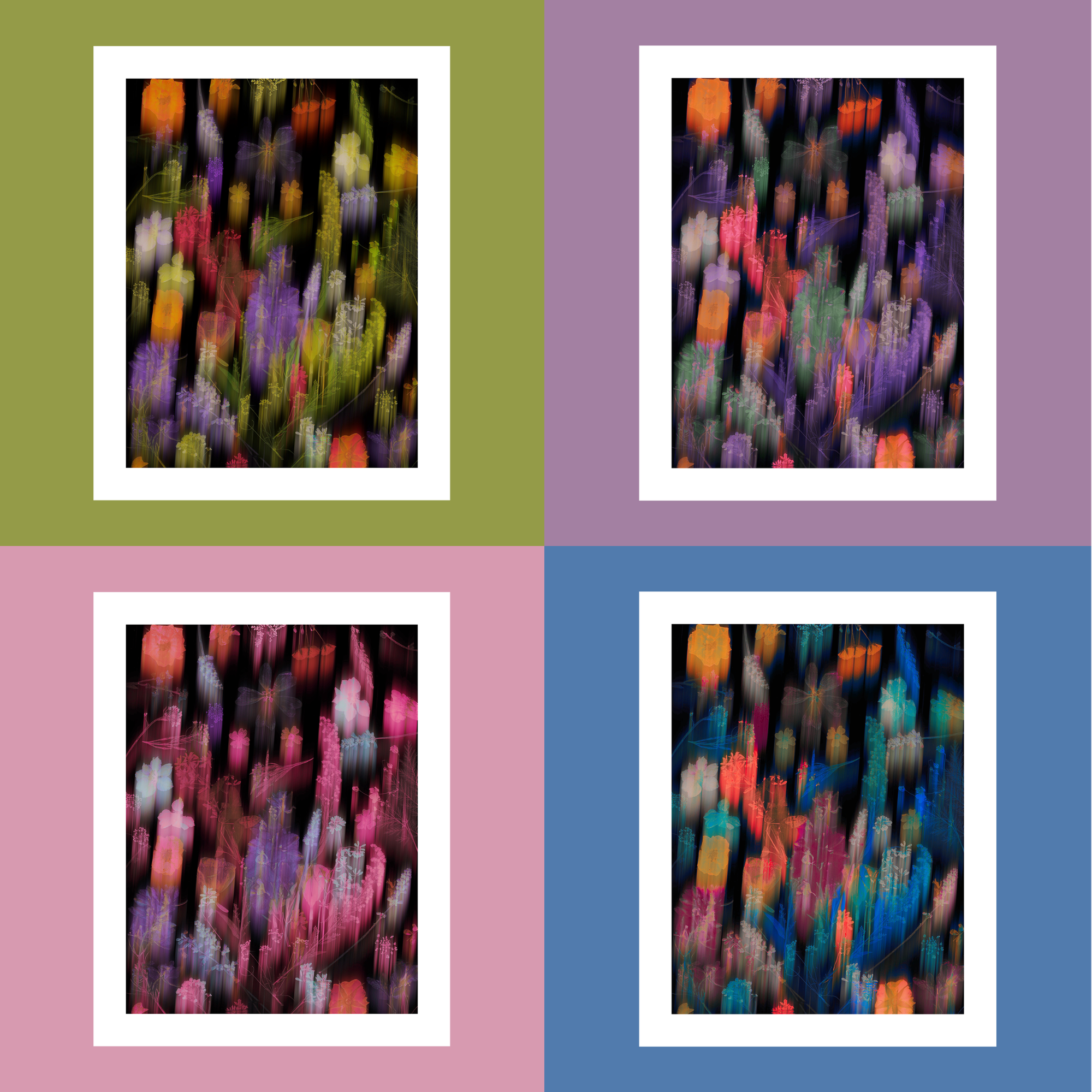 A group of four floral scanography works in green, purple, pink and blue