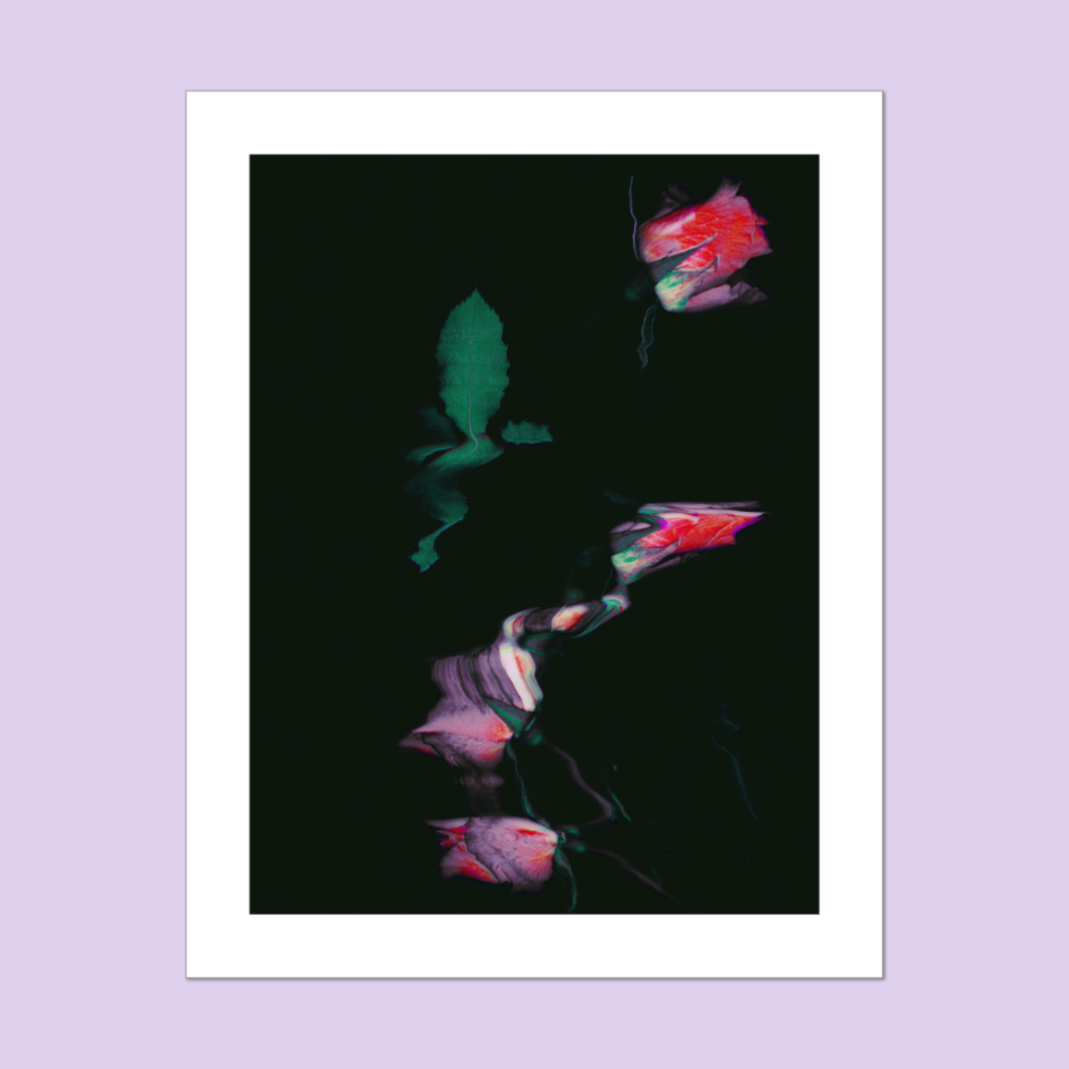 A print of a scanographic abstract, pink, purple and green floral artwork on a black background, with a white border against a purple background.