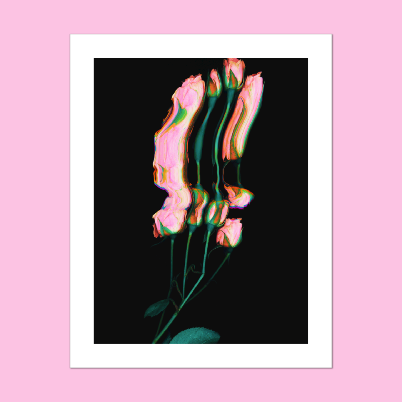 A print of a scanographic trippy, pink and green floral artwork on a black background, with a white border against a pink background.