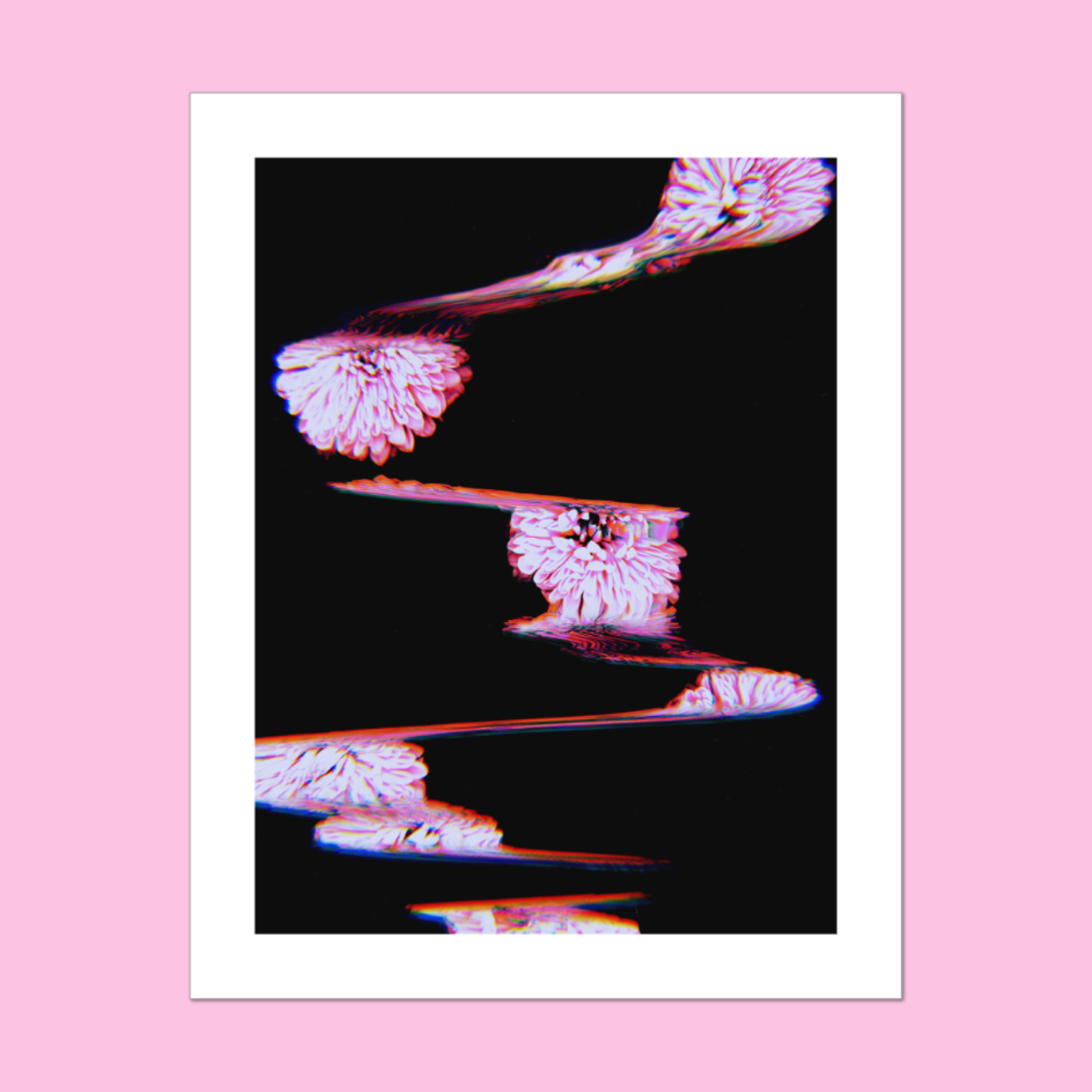 A print of pink abstract flowers with a black background and a white border against a pink background