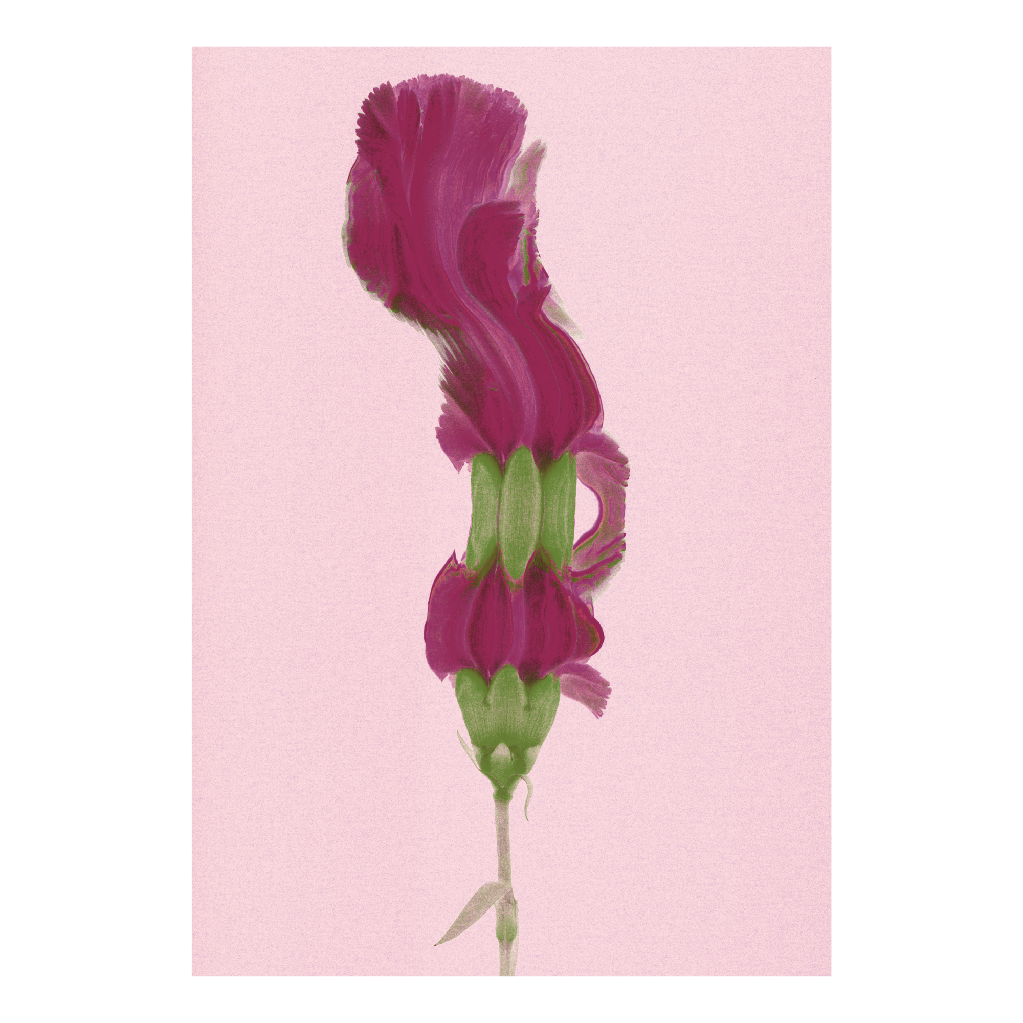 An abstract scanogram of a glitchy pink flower with a green stem on a light pink background