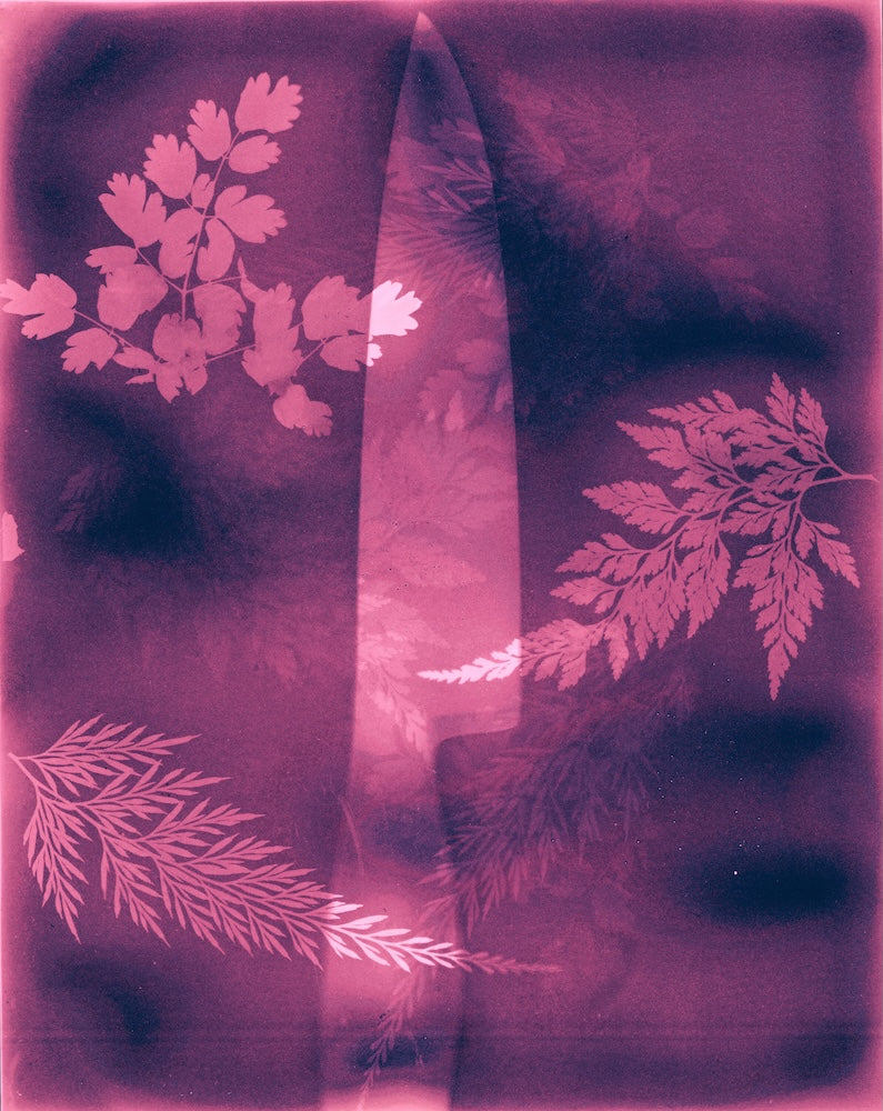 A double exposed lumen print of a knife and pink leaf patterns on a dark background