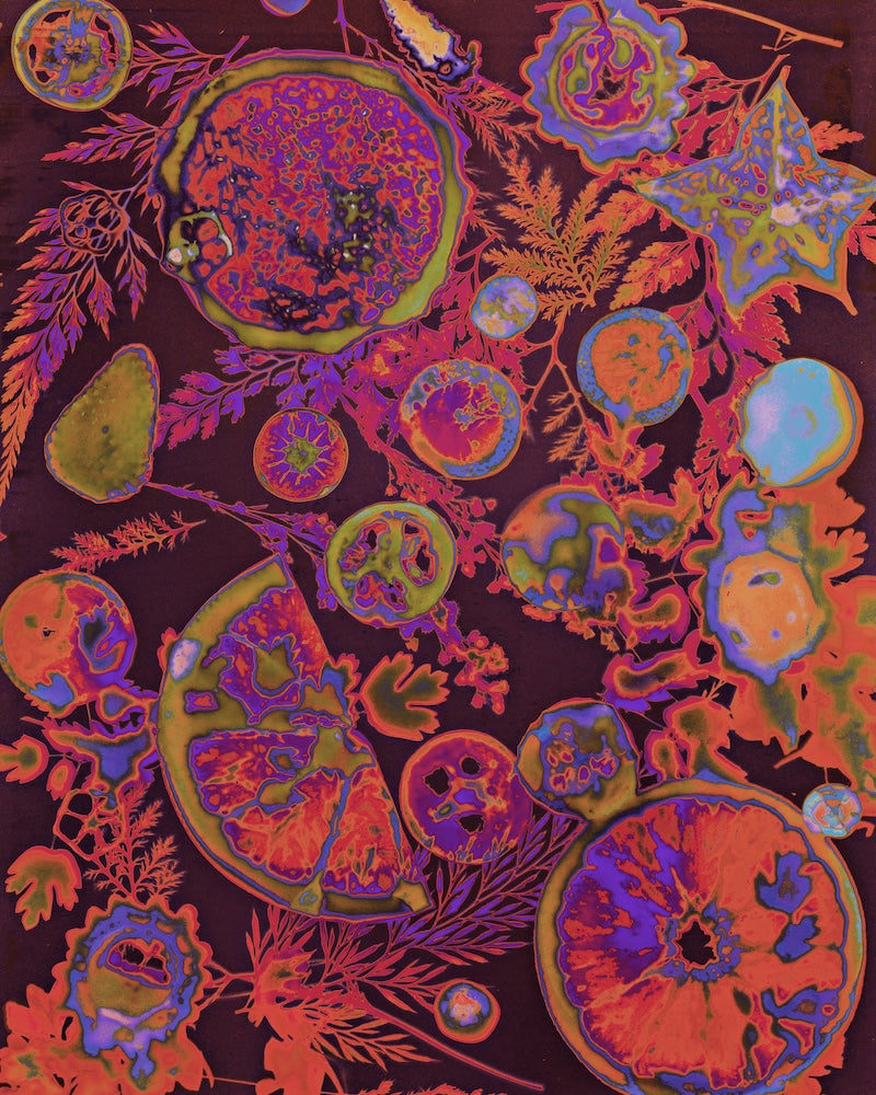 Colorful abstract design with fruit, plant and floral elements on a dark background