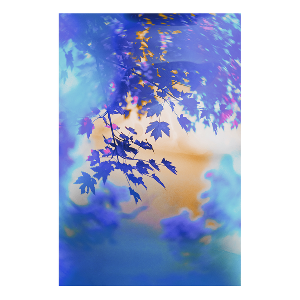 Colorful, abstract, swirly tree branches and leaves in blue tones