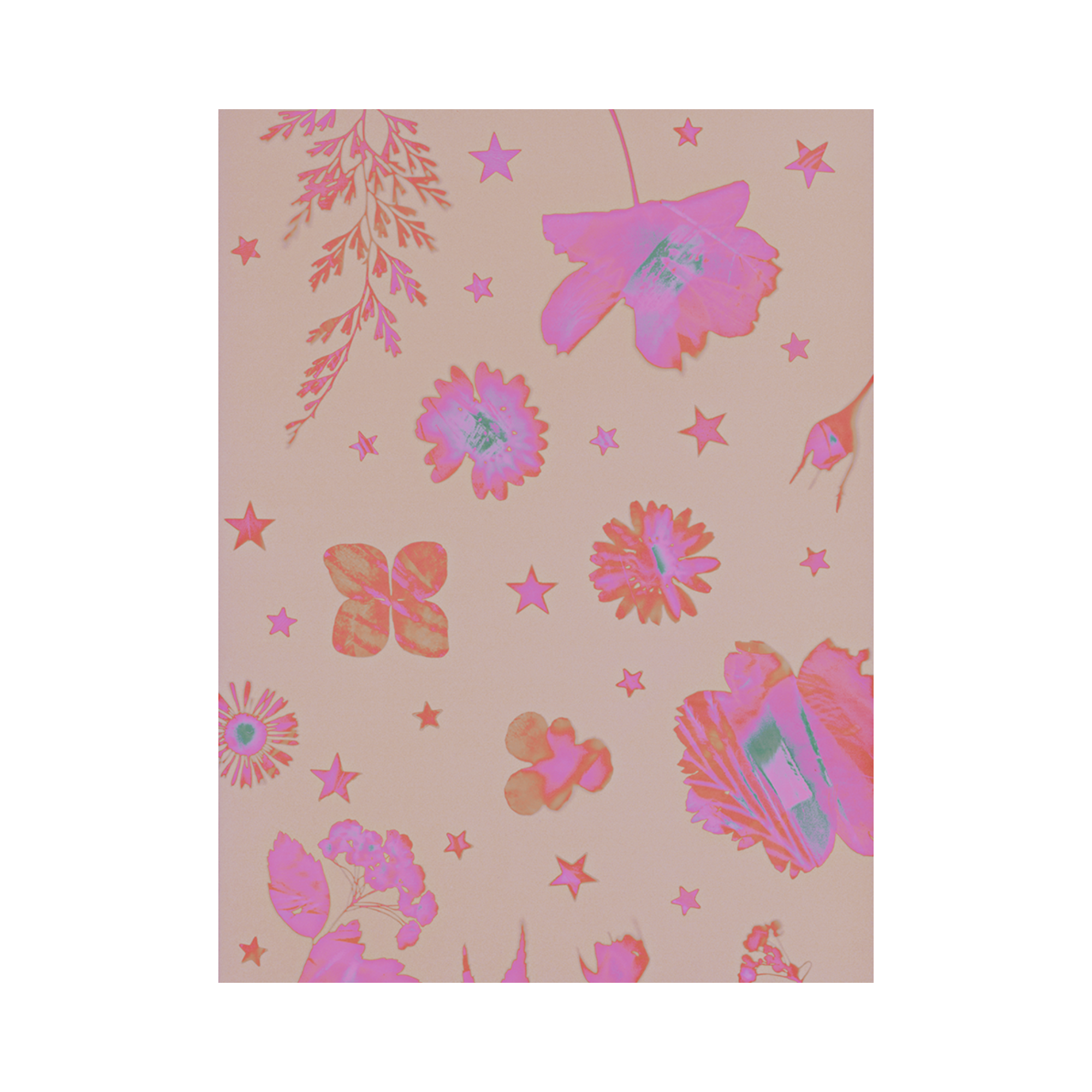 Manic Pixie Dream Garden