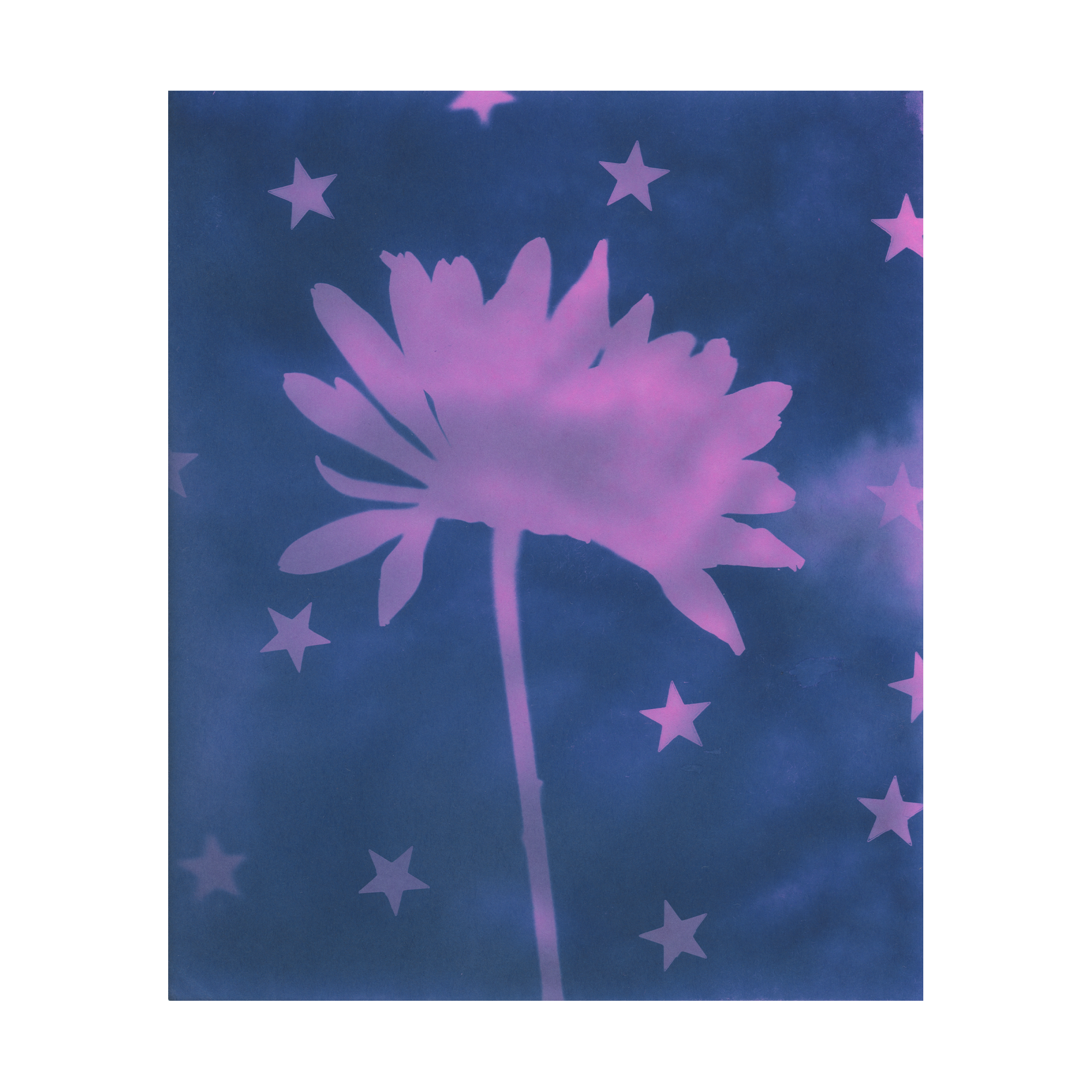 A cyanotype of a flower and star shapes on a blue background
