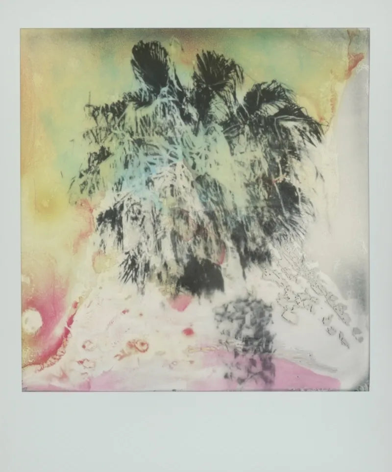 Artistic depiction of palm trees with a watercolor background