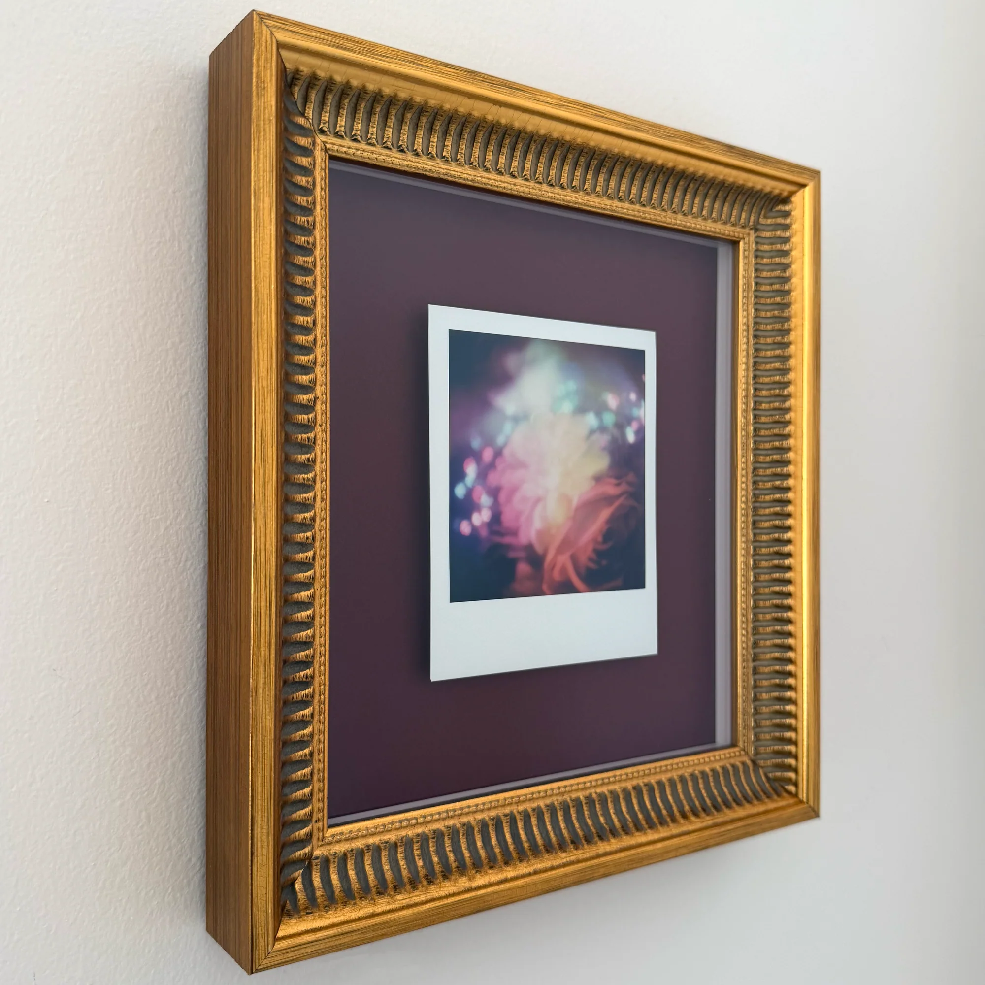 Rosy Disposition - Framed Original Polaroid