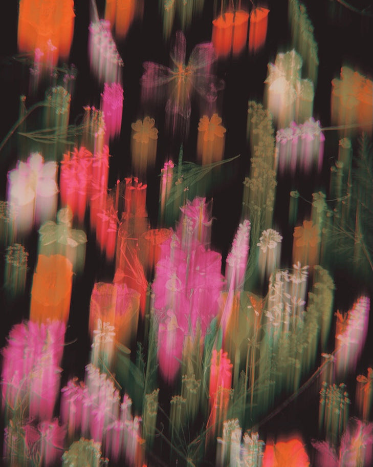 Colorful blurred flower pattern on a black background