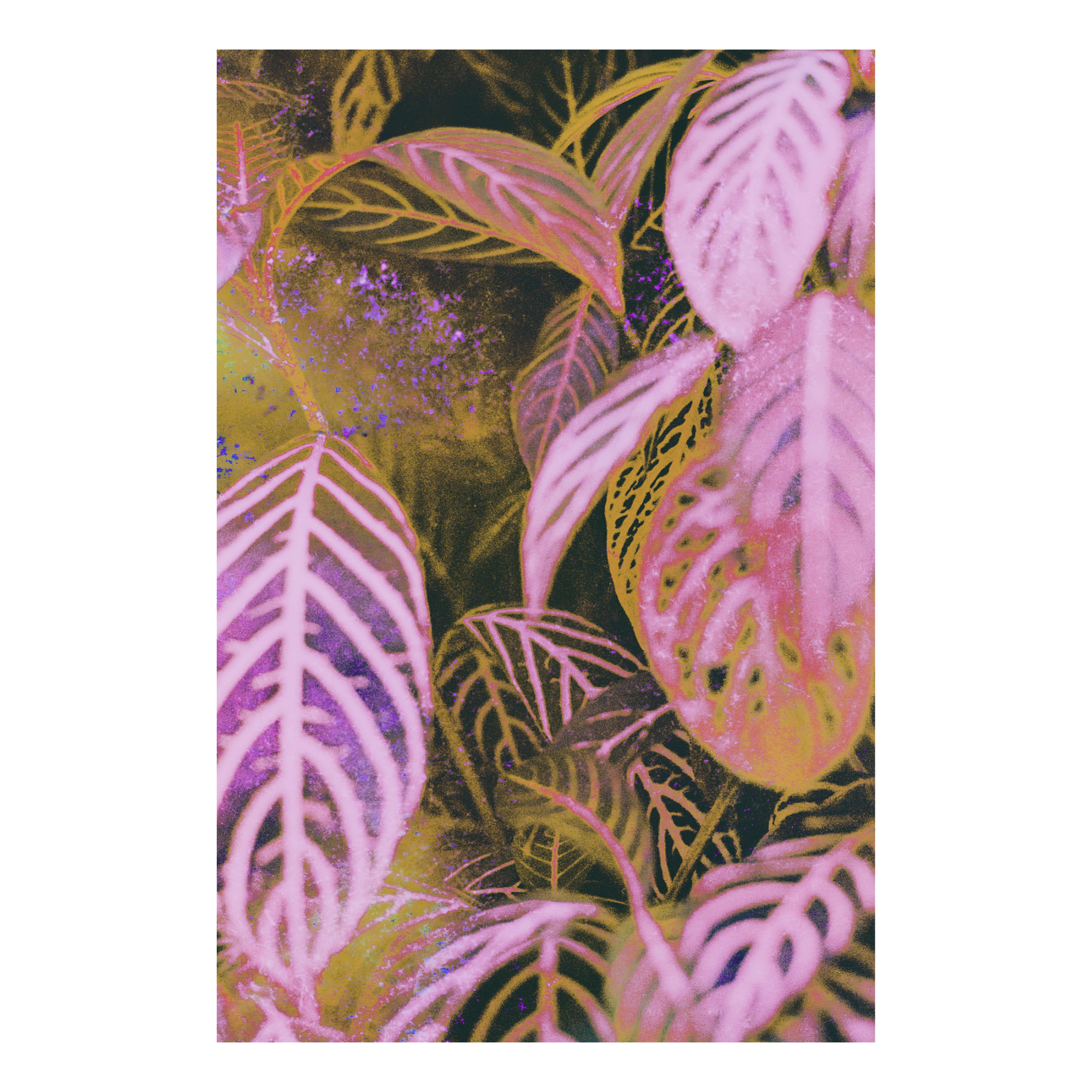 Layered plant leaves in pink and chartreuse tones