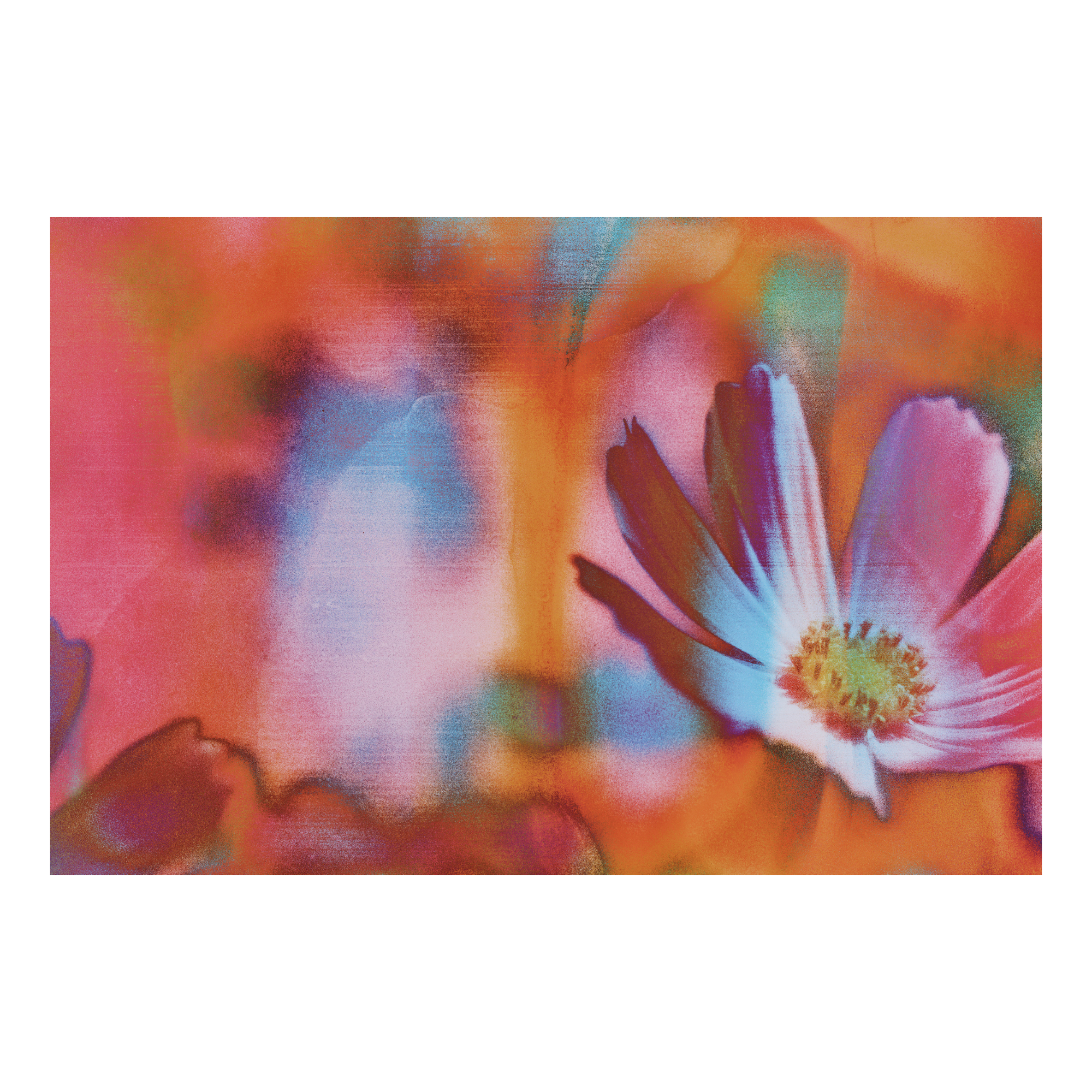 A blooming pink flower on a colorful abstract background