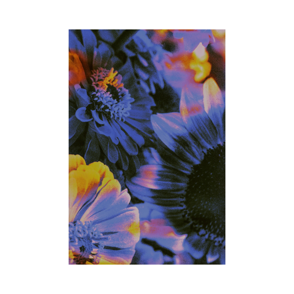 The Best I've Ever Had