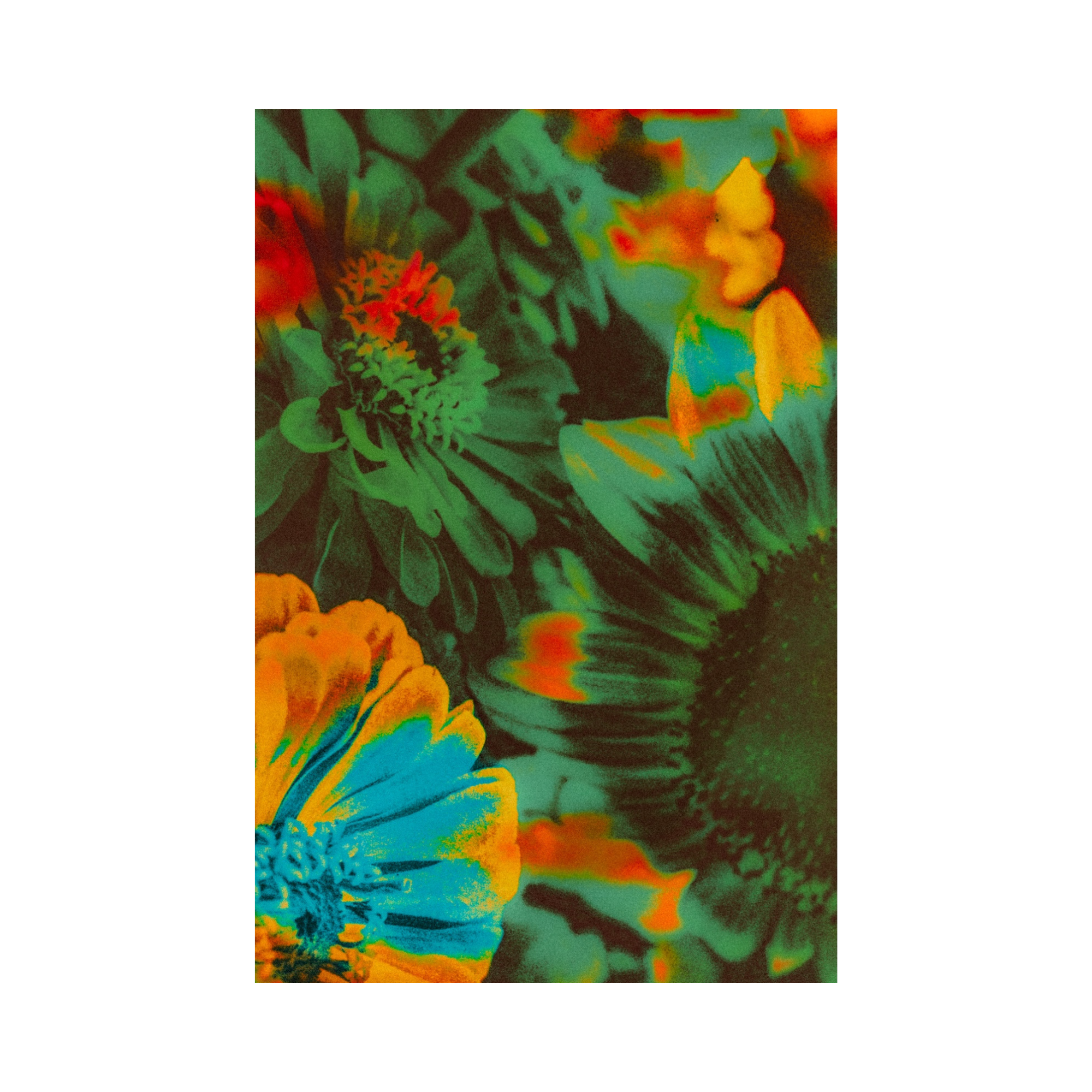 The Best I've Ever Had