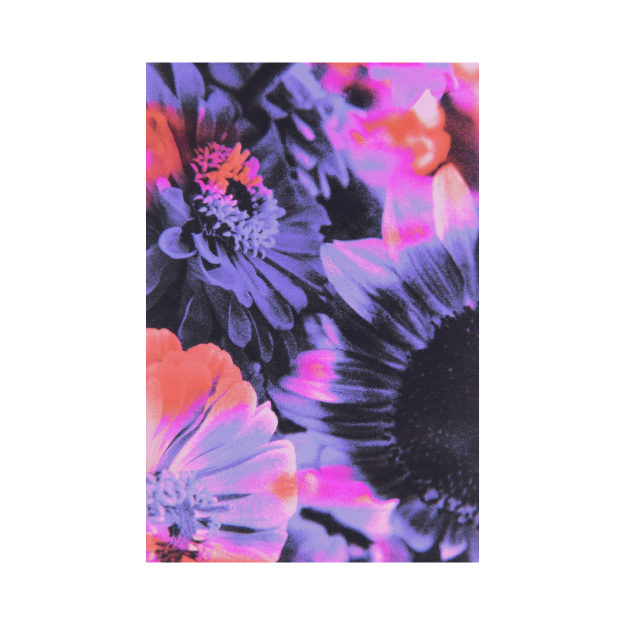 The Best I've Ever Had