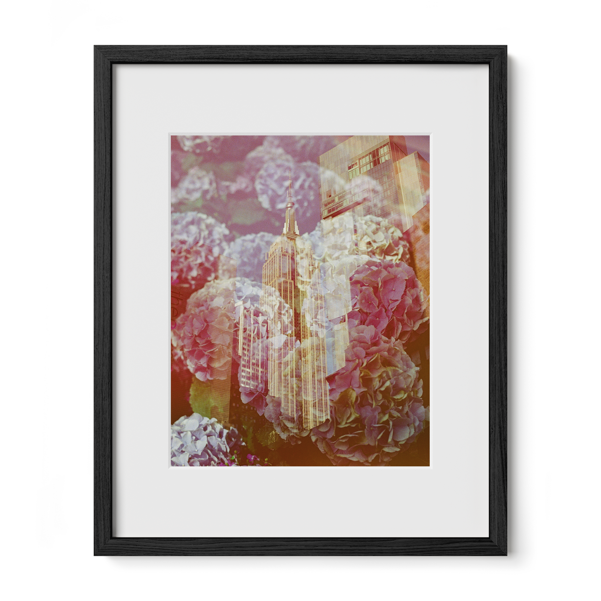 The Whole World Comes To You