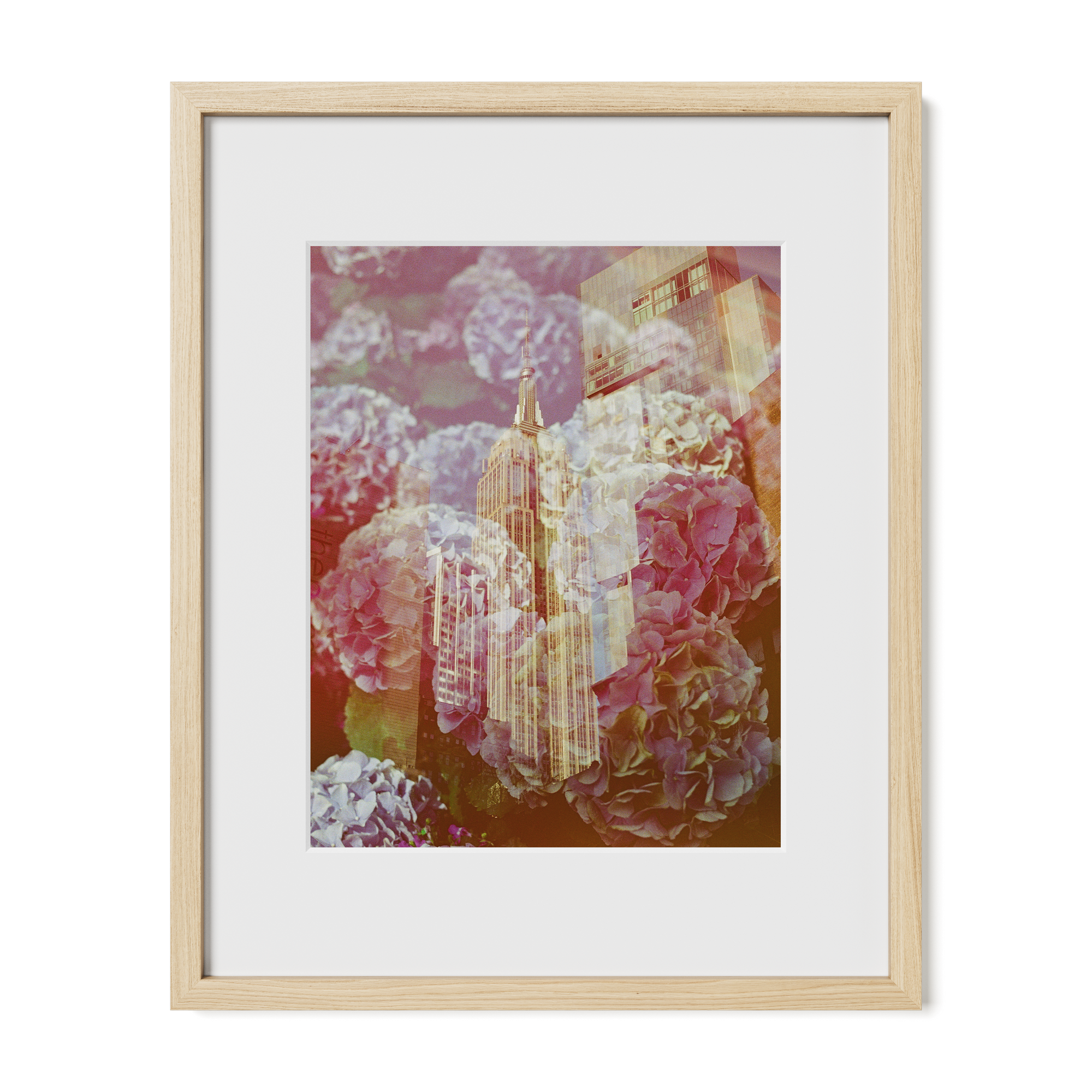 The Whole World Comes To You