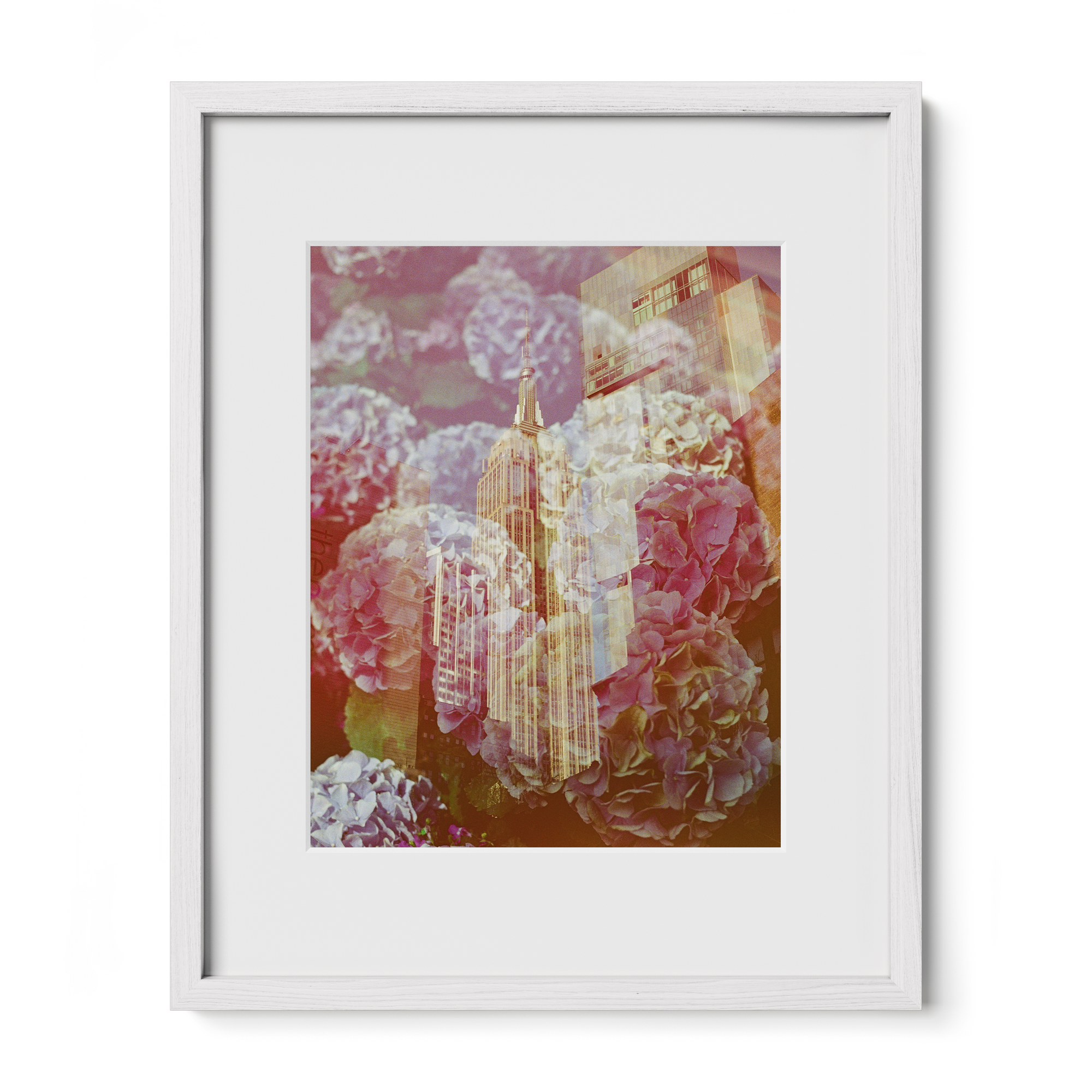 The Whole World Comes To You