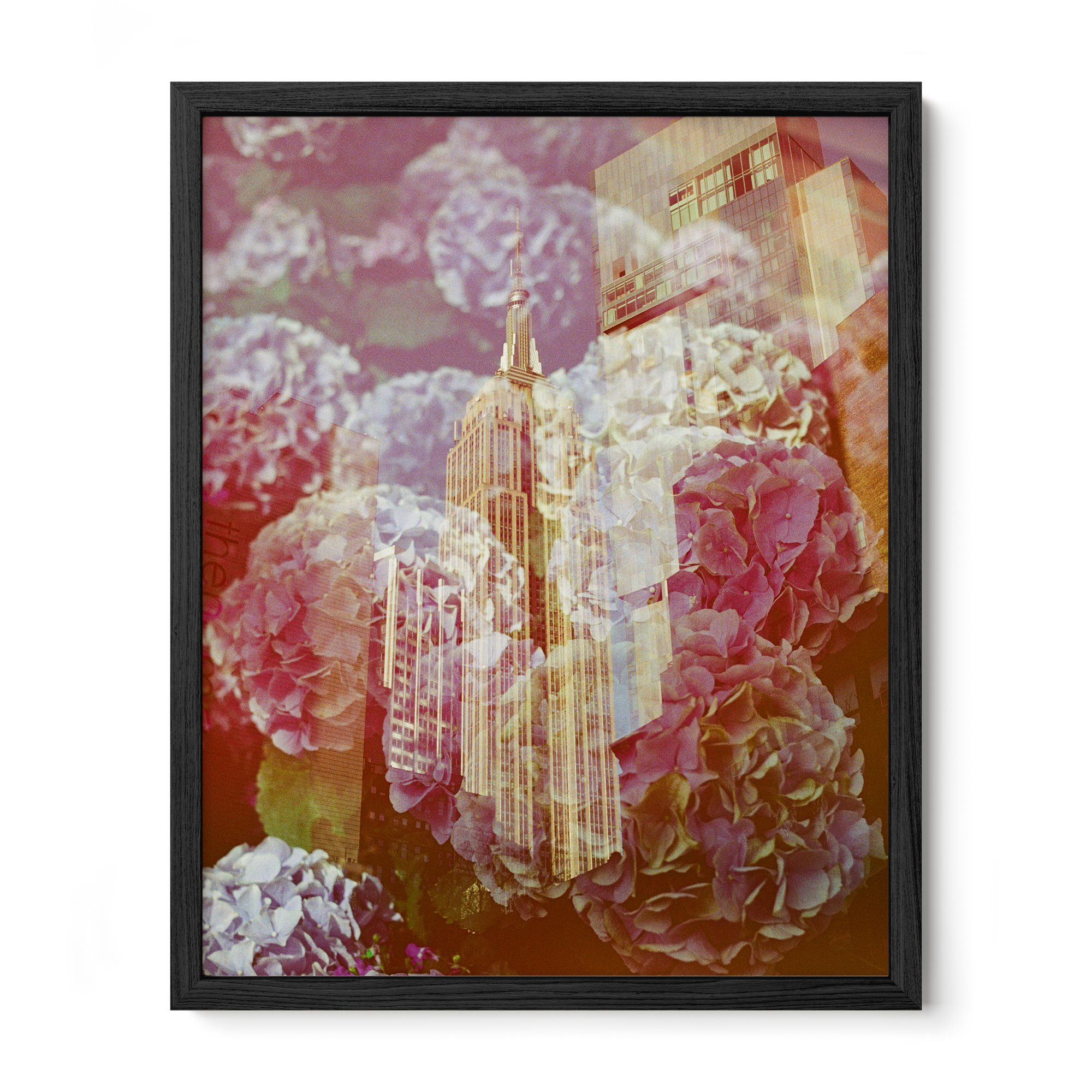 The Whole World Comes To You