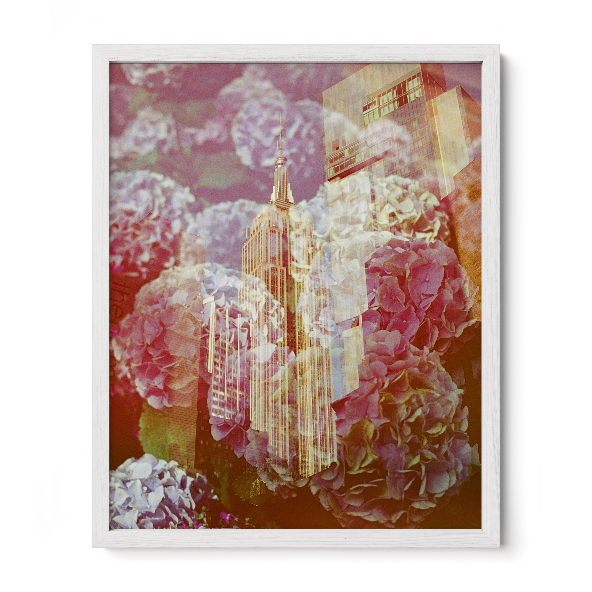 The Whole World Comes To You