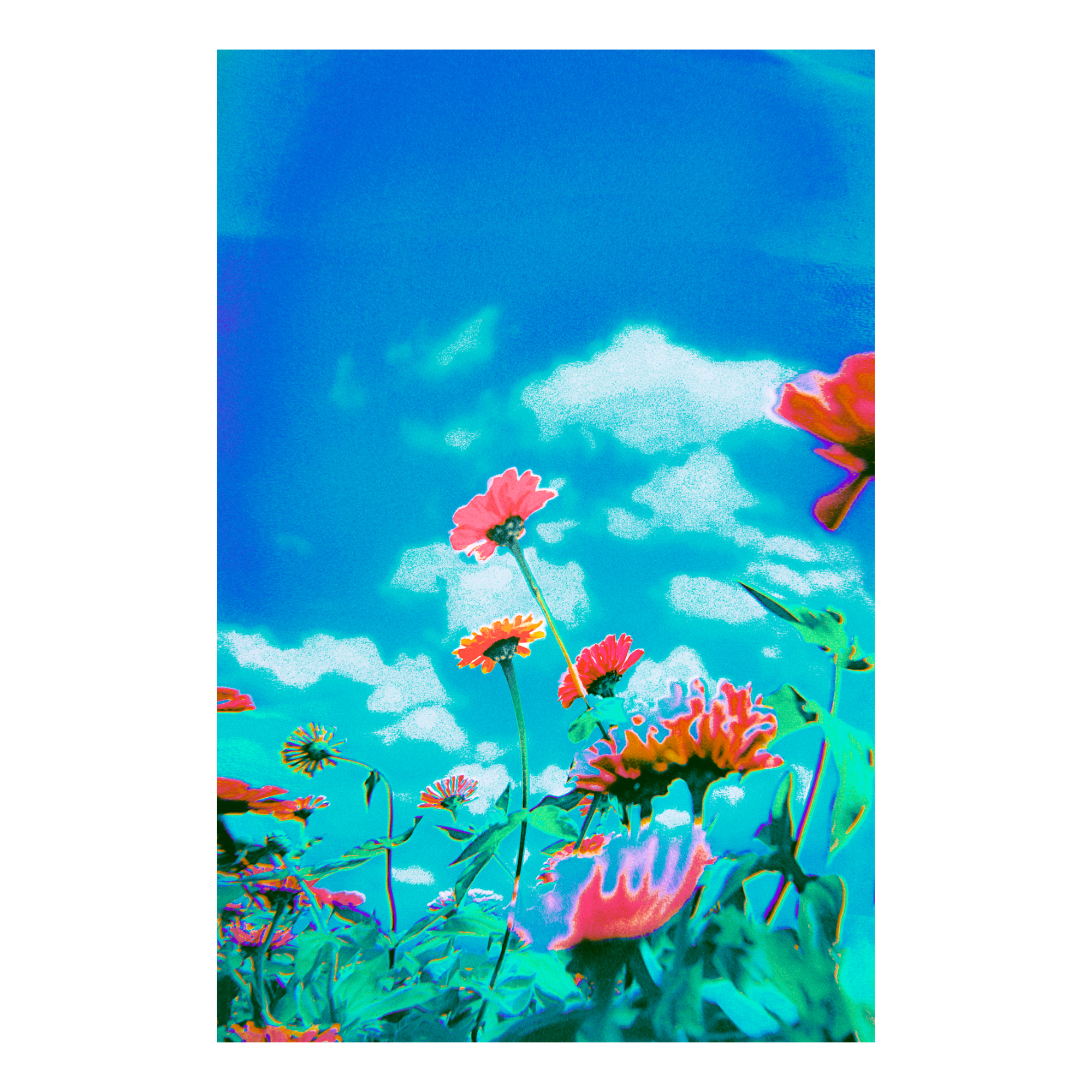 A colorful, abstract field of flowers against a blue sky and white clouds