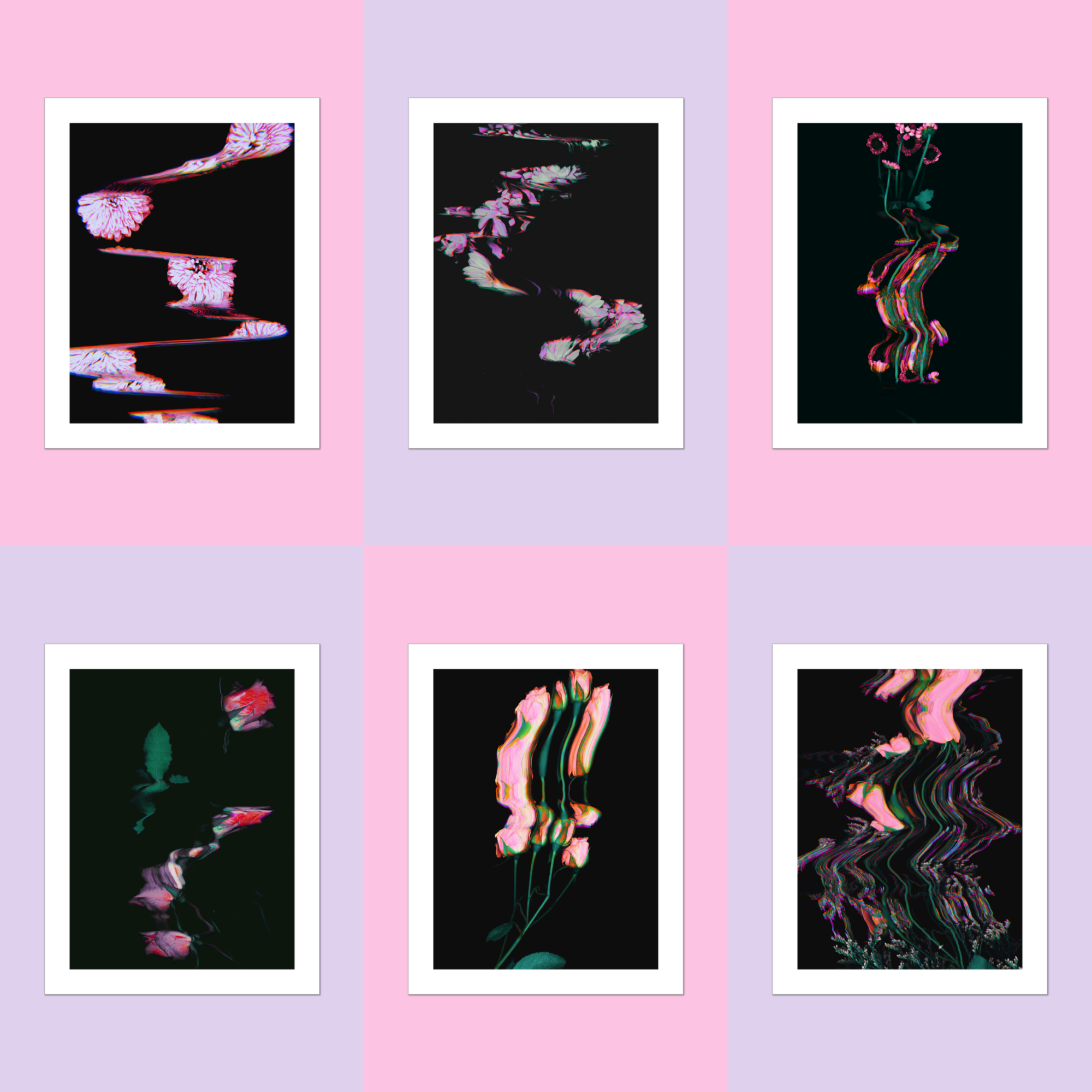 Set of six abstract floral art prints from the Fab Flora collection on a pink and purple grid background