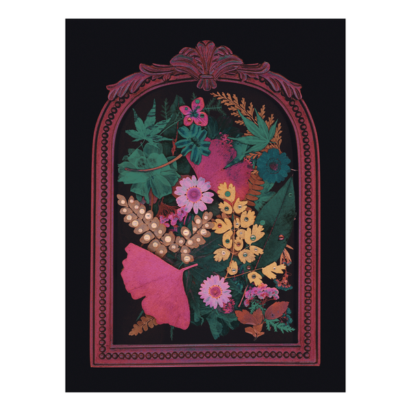 Colorful pink, teal, yellow and brown flowers and leaves inside an ornate pink frame on a black background