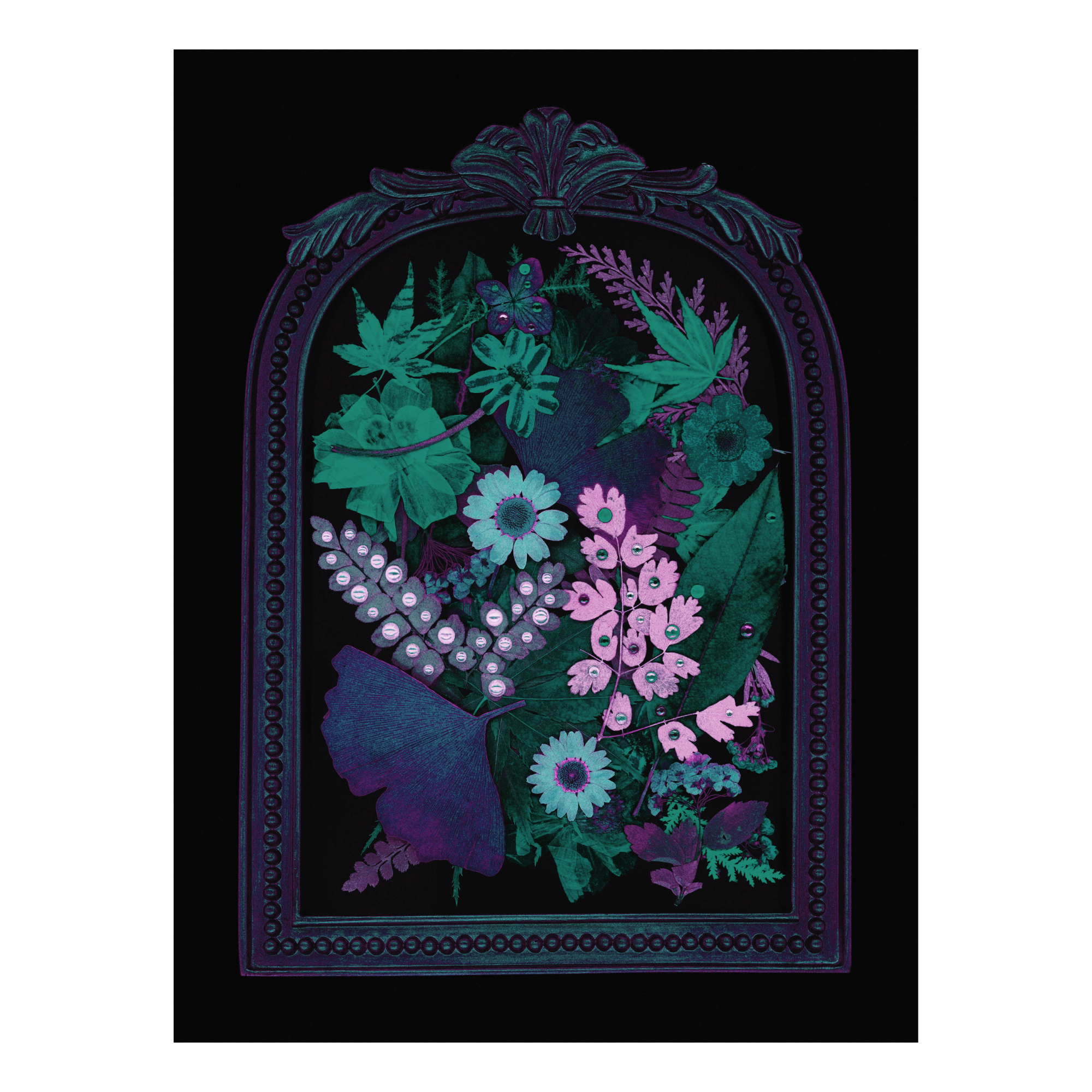 Colorful purple, teal and seafoam green flowers and leaves inside an ornate purple frame on a black background