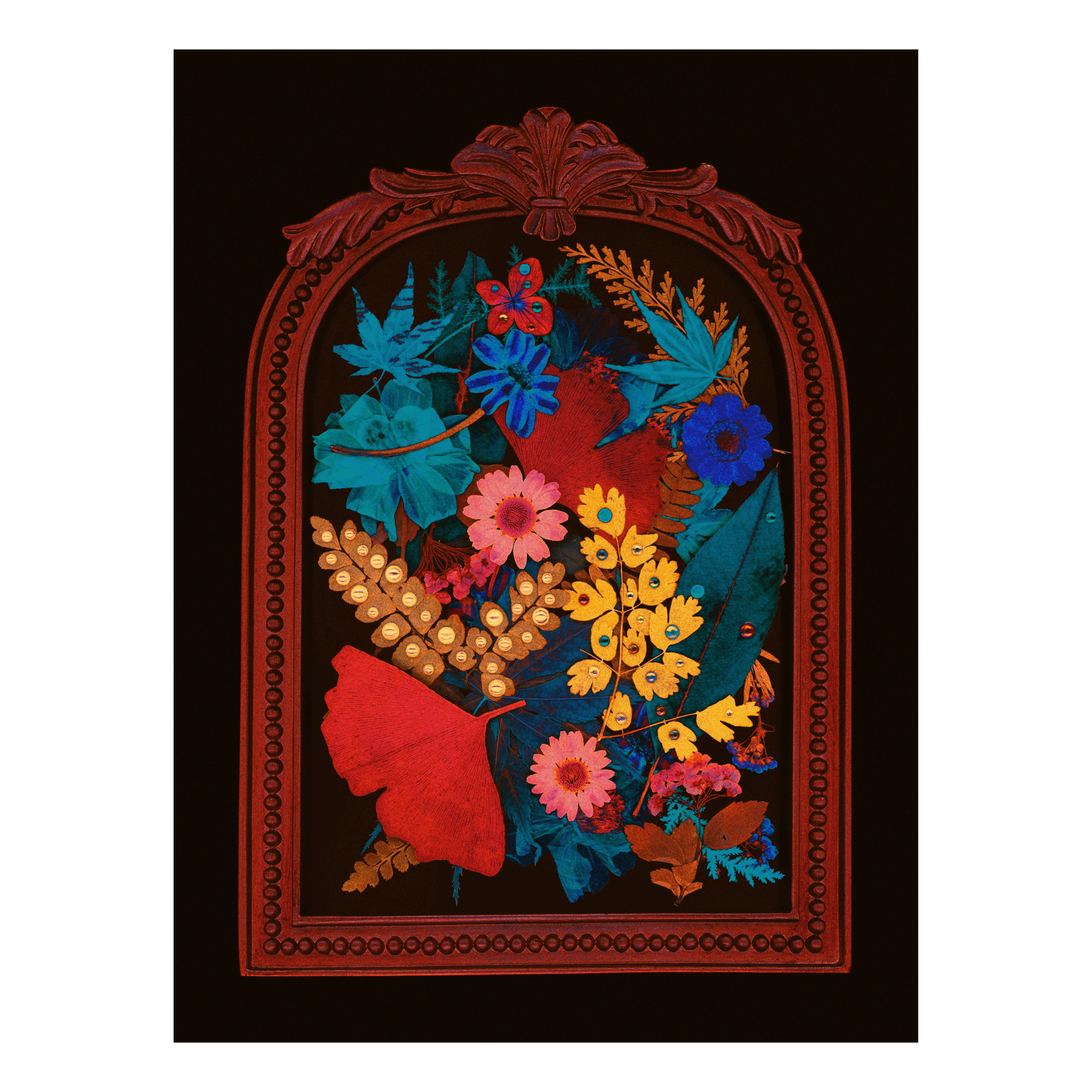 Colorful red, blue and yellow flowers and leaves inside an ornate red frame on a black background