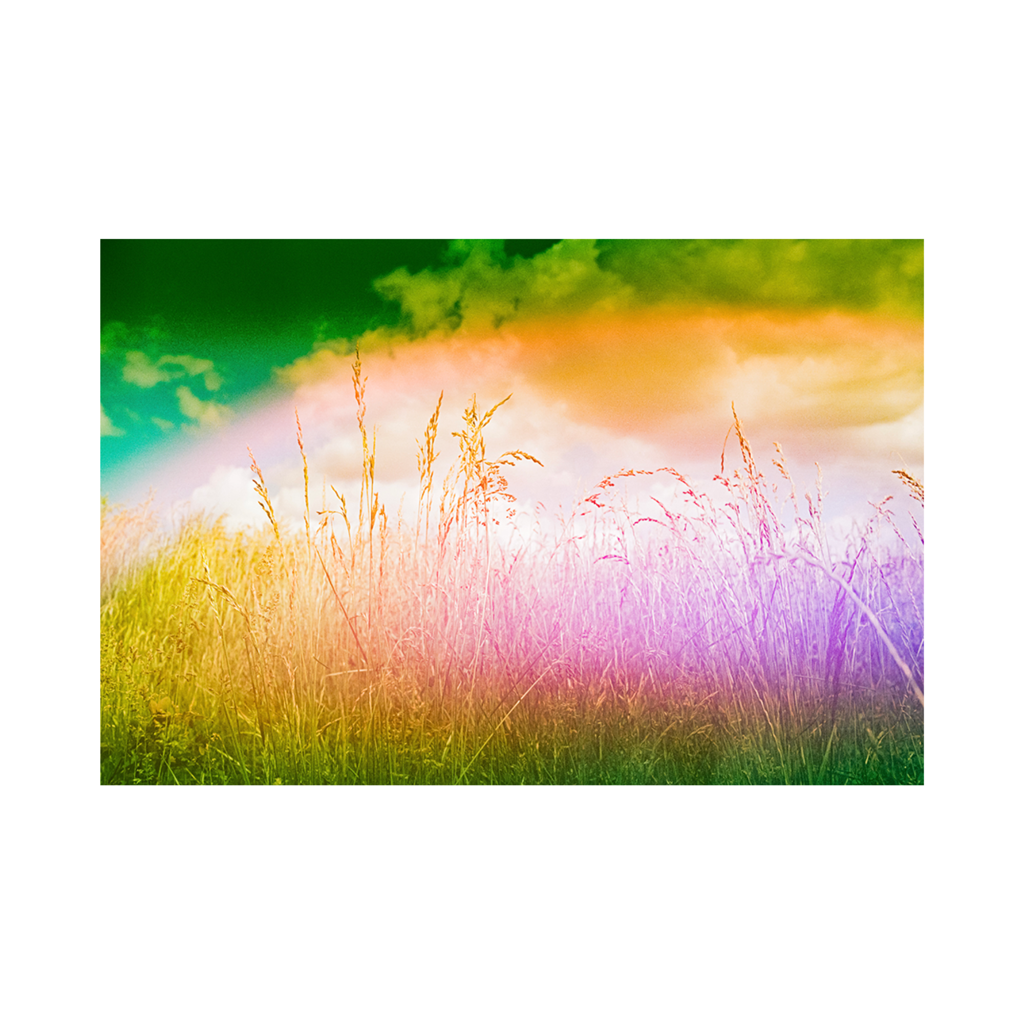 We're Never Really Alone