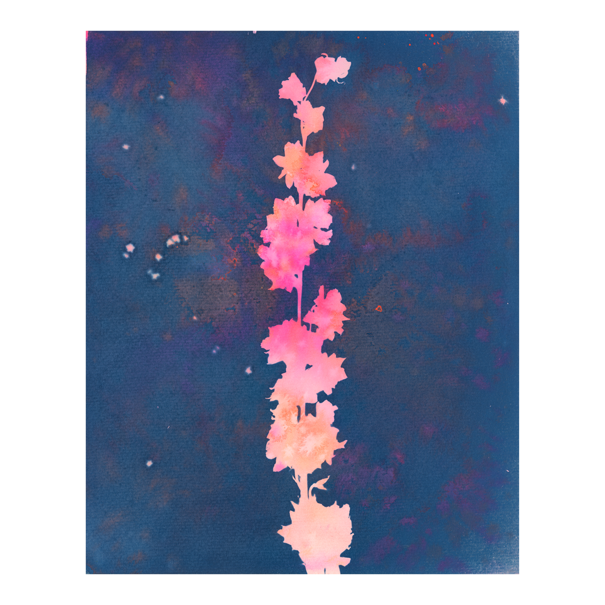 Handpainted multicolor cyanotype of a large flower placed in center frame